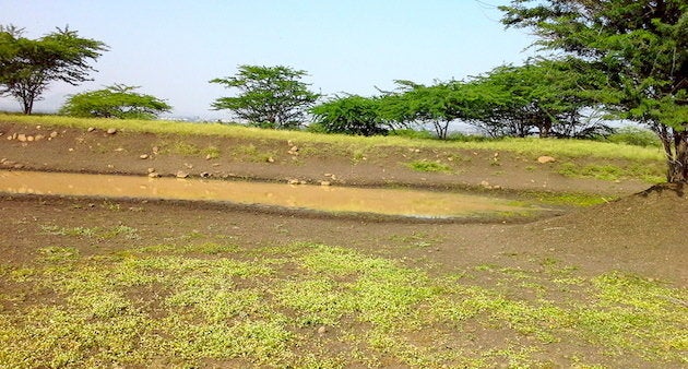 Contoured trenches help prevent water run-off in Kumbharwalan village.