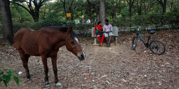 A couple sits on a bench as a horse stands near them in Cubbon Park, a large green space in central Bangalore, February 27, 2012. REUTERS/Vivek Prakash