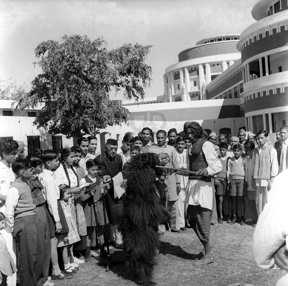 The All India Radio New Delhi recorded a program at the A.I.R. lawns. Picture shows the bear performing a dance at the command of its master.