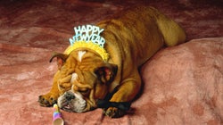 7 DON’Ts For This New Year’s