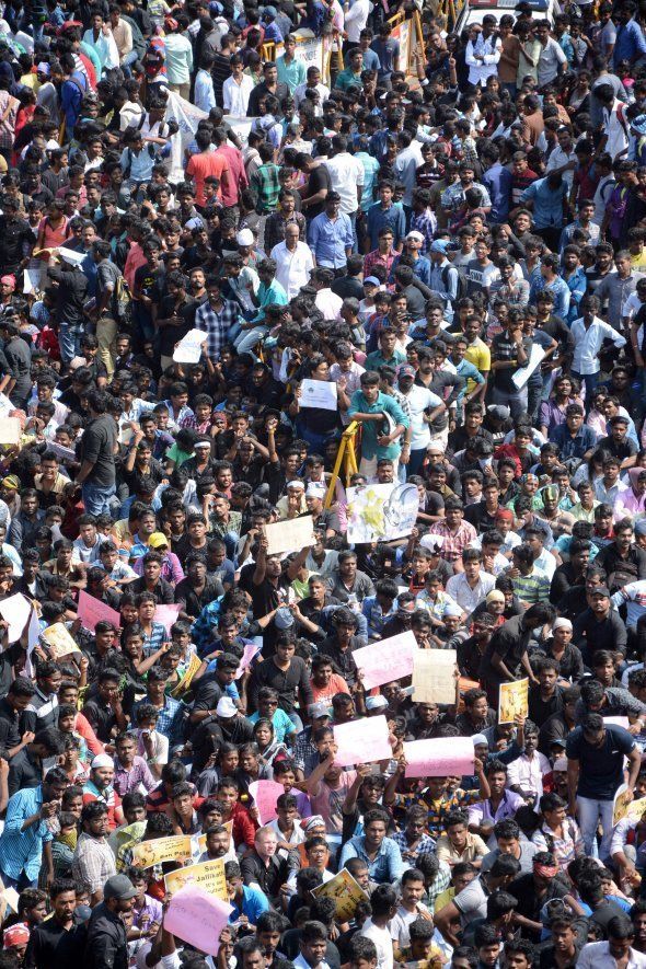 Indian protesters gather during a demonstration against the ban on the Jallikattu bull taming ritual at Marina Beach at Chennai on January 18 2017.