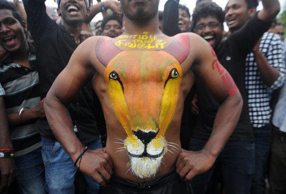 An Indian man gestures with his body painted with an image of a bull during a demonstration against the ban on the Jallikattu bull taming ritual in Chennai on January 20, 2017.