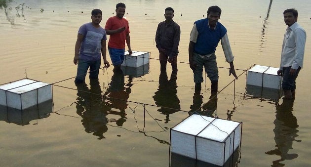 A fish cage constructed by the local community in Vizianagaram