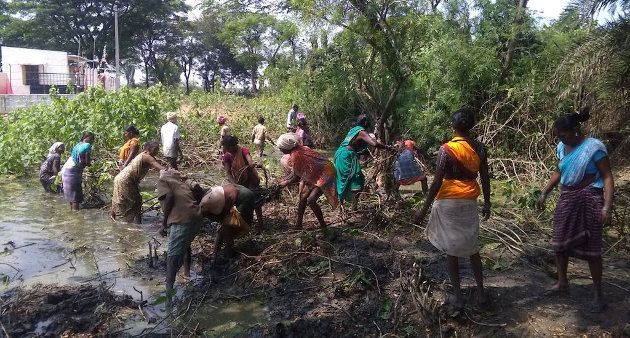 An unused pond is being brought back into the fisheries ecosystem in Srikakulam