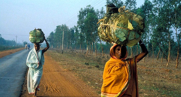 How About Lightening The Load Of Rural Women For A Change? | HuffPost Life