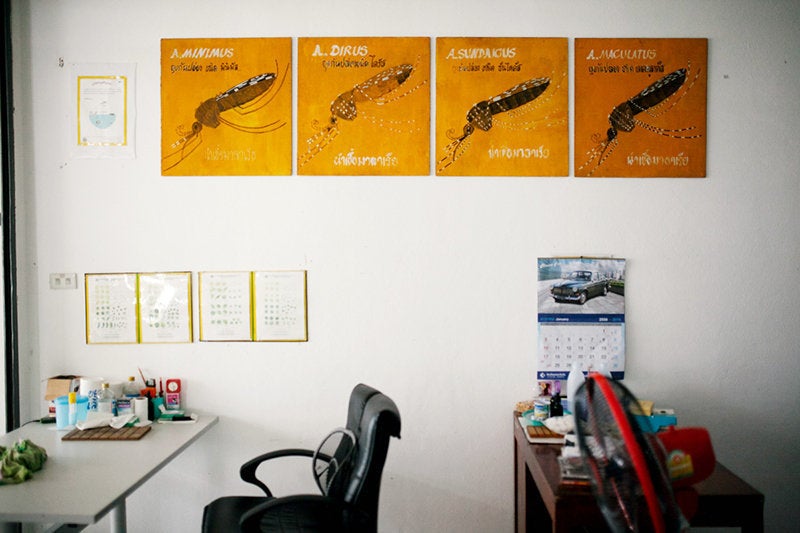 The inside of a health clinic in Thailand. The wall is adorned with posters of four species of Anopheles mosquitoes, which are malaria vectors.
