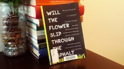 ‘Will The Flower Slip Through The Asphalt’ Grapples With Climate Change And Capitalism [BOOK