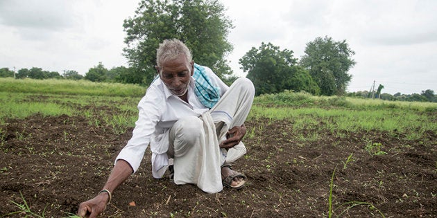 Using treated wastewater means Serigudam Sailu can now grow coriander as an income source.