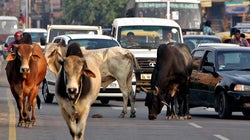Are Indian Roads Ready For Driverless