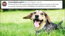 28 Of The Best Tweets About Dogs Because 2017 Has Been