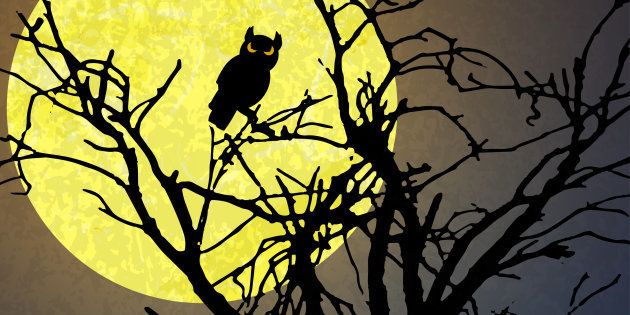 halloween background with a owl sitting in a dead tree in front of an yellow full moon