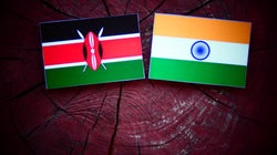The 44th Tribe: How Kenya's Asians Are Navigating The Upcoming