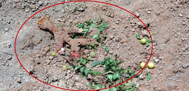 Voodoo doll found at the Nandigudda Graveyard in Mangalore city in May, 2018.
