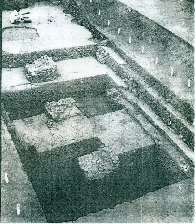 Pillar bases excavated by B.B. Lal (1970s).