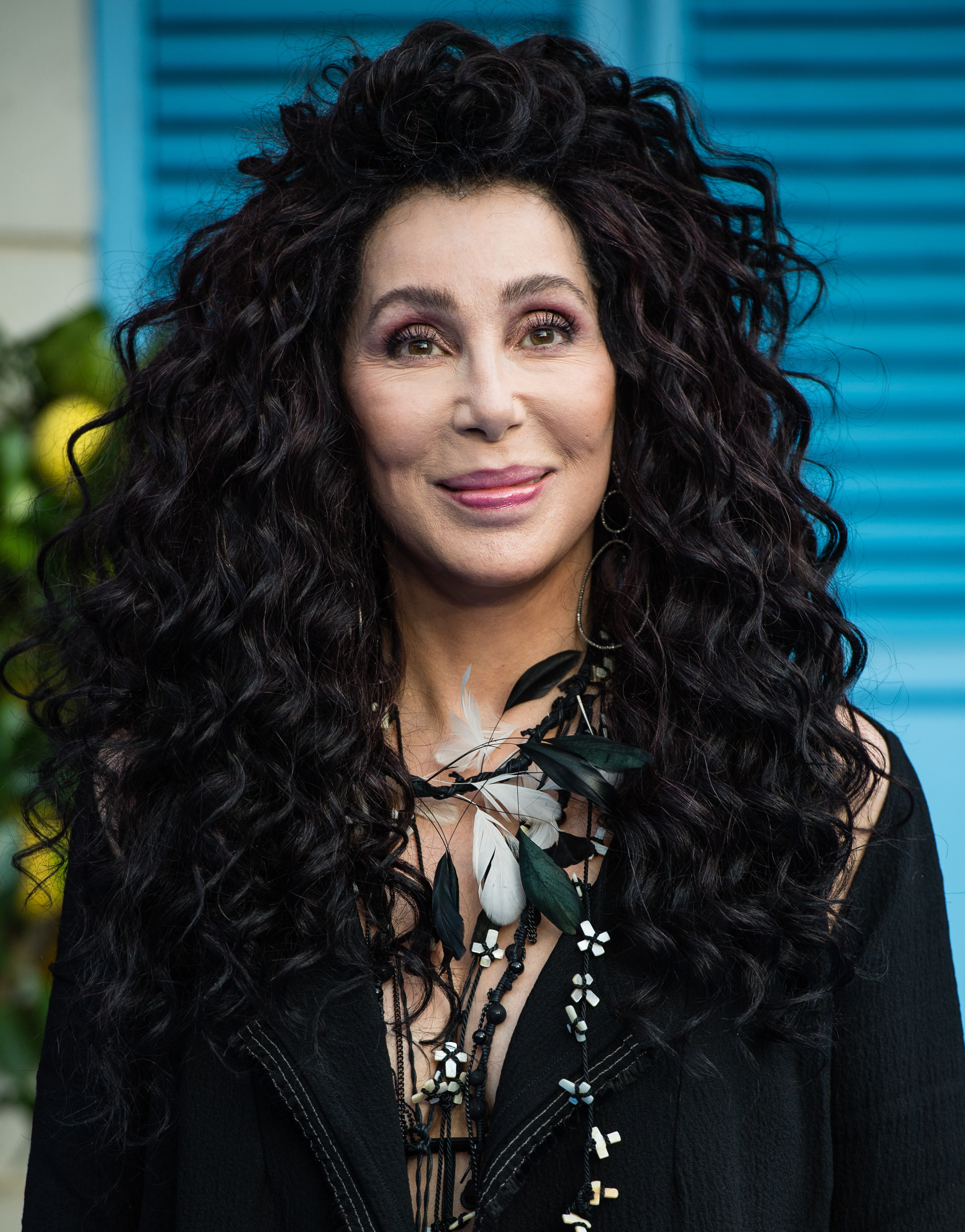 cher the first time book