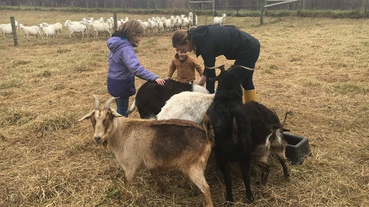 Jamie Tiralla, her daughter, Caroline, 8, and her son Isaac, 3, feed the goats. 