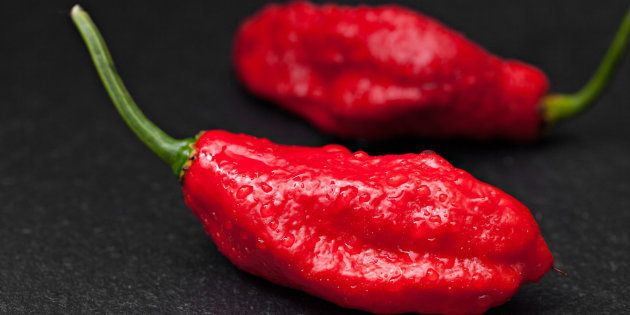 The ghost pepper.