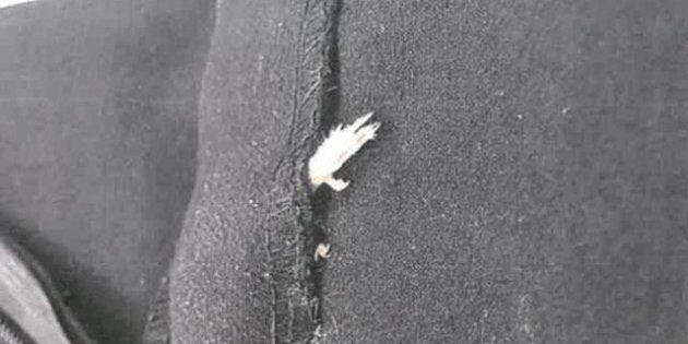 This is the tiny paw that a New York woman says she found scraping against her leg while wearing a dress made by Zara.