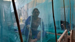 How To Differentiate Between Chikungunya And Garden-Variety Viral