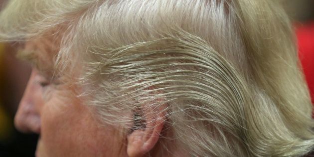 COUNCIL BLUFFS, IA - JANUARY 31: Detail of Republican presidential candidate Donald Trump's hair as he signs autographs after a campaign rally at the Gerald W. Kirn Middle School on January 31, 2016 in Council Bluffs, United States. Trump and other presidential hopefuls are in Iowa trying to gain support and crucial votes for tomorrow's caucuses. (Photo by Christopher Furlong/Getty Images)