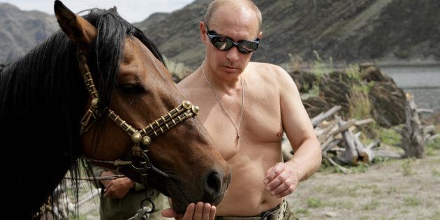 Vladimir Putin, shirtless horseback rider and president of Russia, has no
