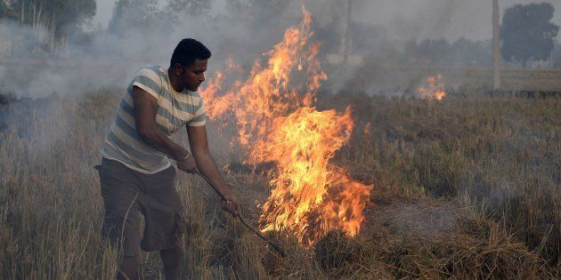 Air Pollution: Punjab Orders Massive Crackdown Against Stubble Burning ...