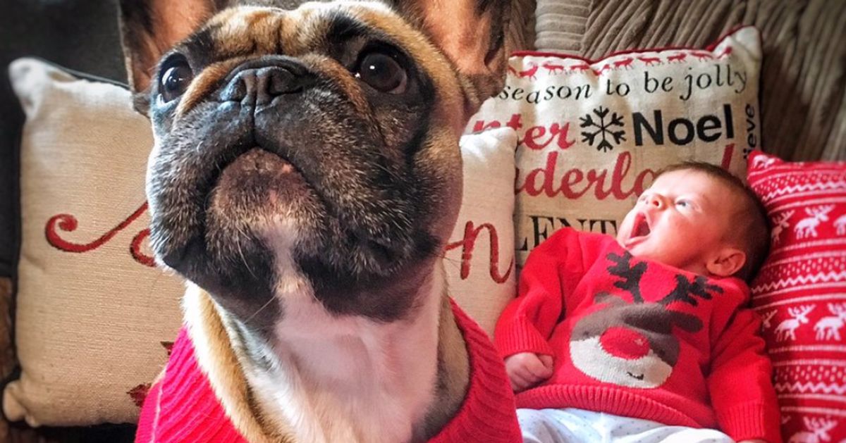 Christmas Jumper Day: Thought Your Sweater Was The Best? Look At These ...