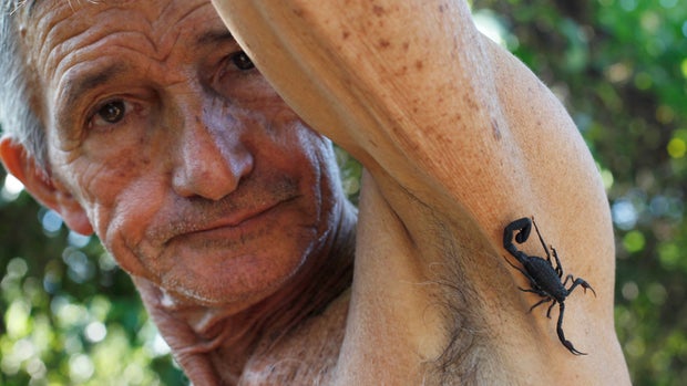 Farmer Pepe Casanas poses with a scorpion in Los Palacios, Cuba, December 5, 2018. Picture taken December 5, 2018. REUTERS/Stringer