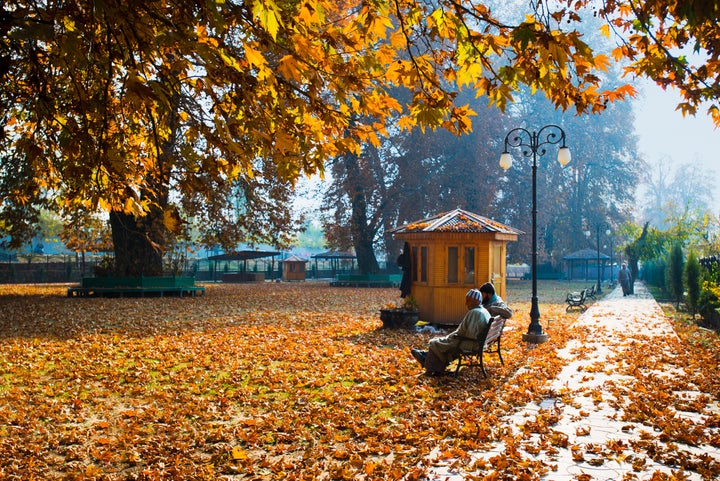 The Chinar Bagh in Jammu and Kashmir.