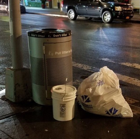 The second bucket containing a cat, left near a public trash can on a corner near Animal Haven.