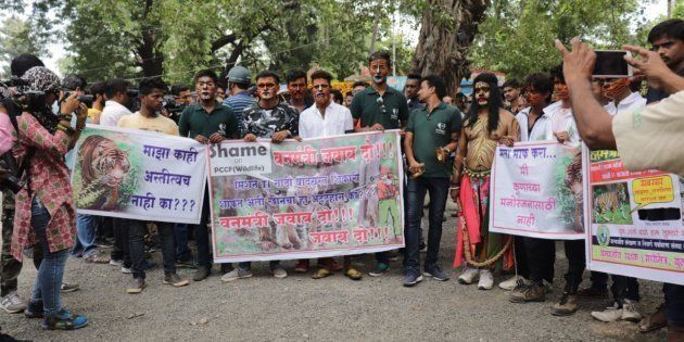 Wildlife activists protest in Nagpur against the forest department's move to rope in hunter Khan to track Avni.
