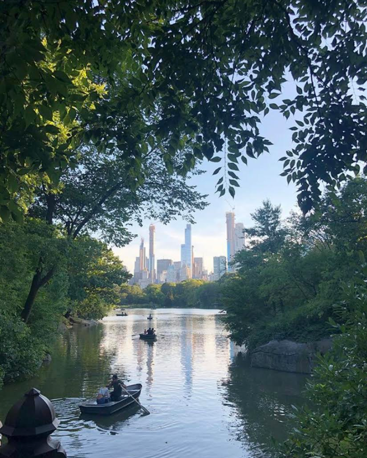 Central Park, New York