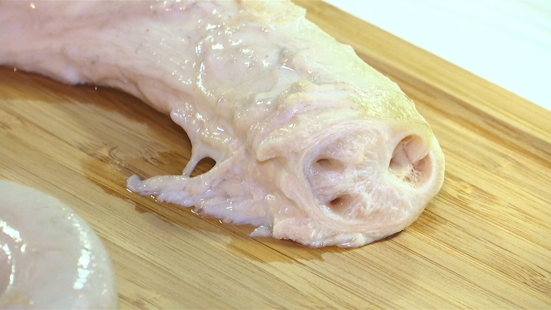 Is This The World's Grossest Food? HuffPost UK Life