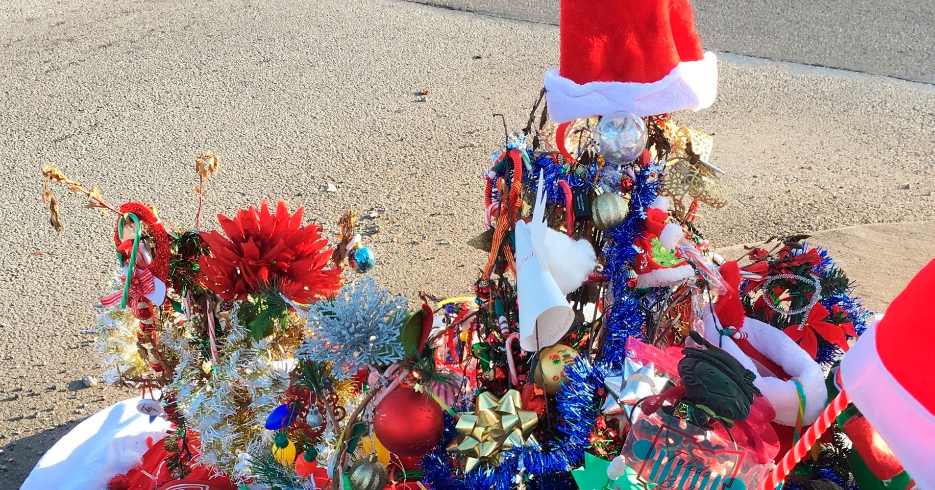 Toledo Goes Crazy For Roadside Weed Decorated For Christmas HuffPost