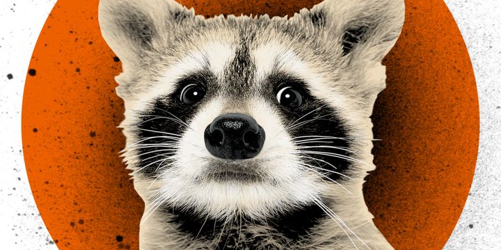 "In a year of so many lows for journalism, it’s hard to remember a high quite so high as a raccoon on top of the UBS tower."