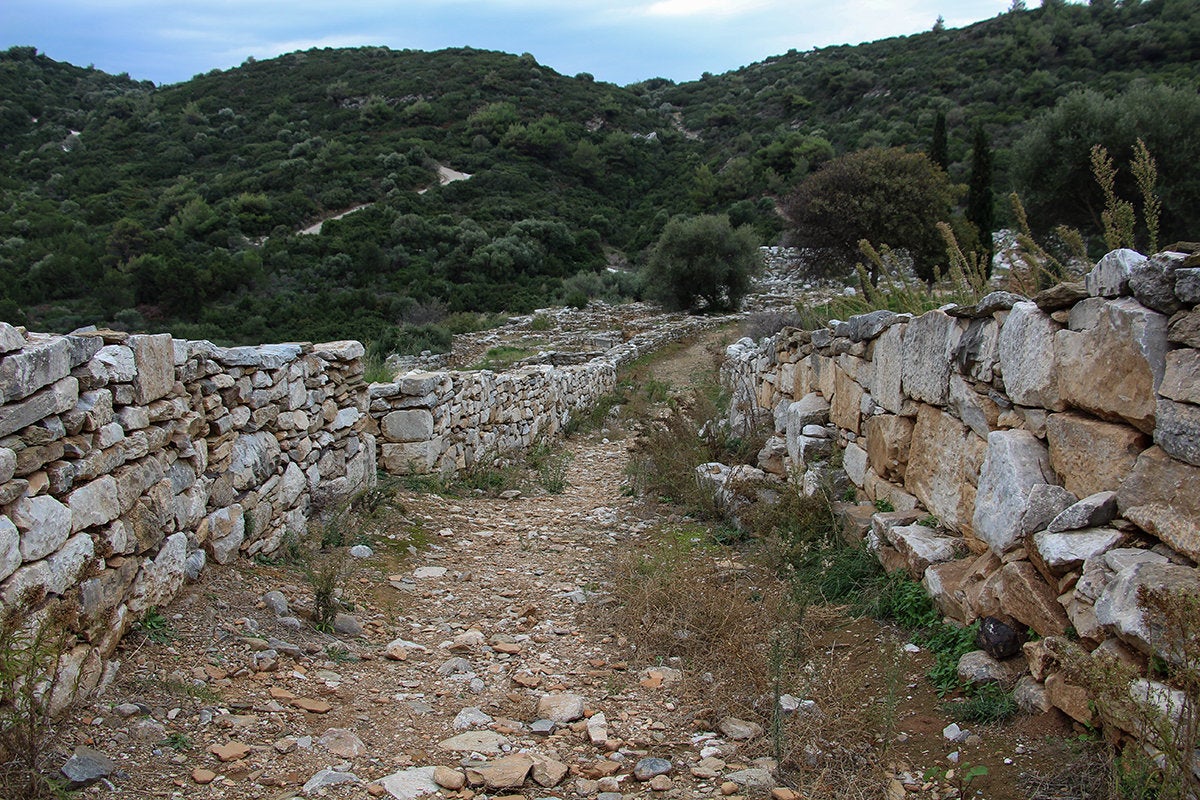 Η κεντρική αμαξιτή οδός από την ακρόπολη και το θέατροπρος τη Νότια Πύλη. Δεξιά δημόσια κτίρια, αριστερά σπίτια.