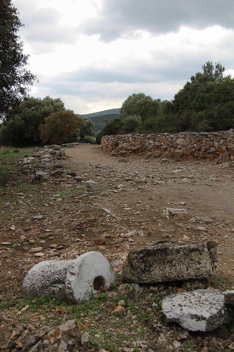 Ο δρόμος που οδηγεί στο Ιερό της Νέμεσης. 