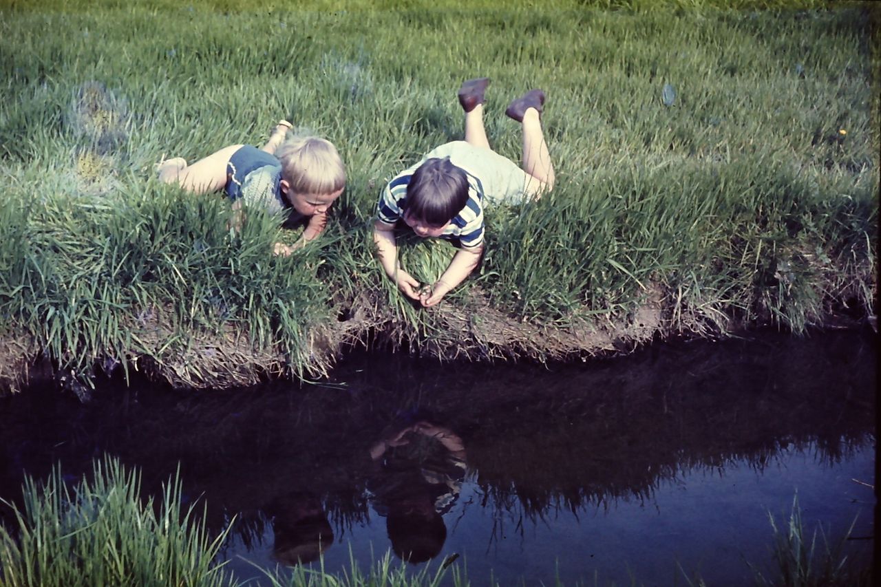 Children playing at the brook at Shadsworth before it became taken over by an industrial estate and housing