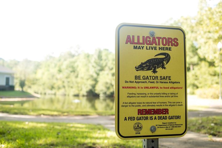 A sign near the pond behind Brookdale Charleston, an assisted living facility in South Carolina, warns about the potential risk of alligators.