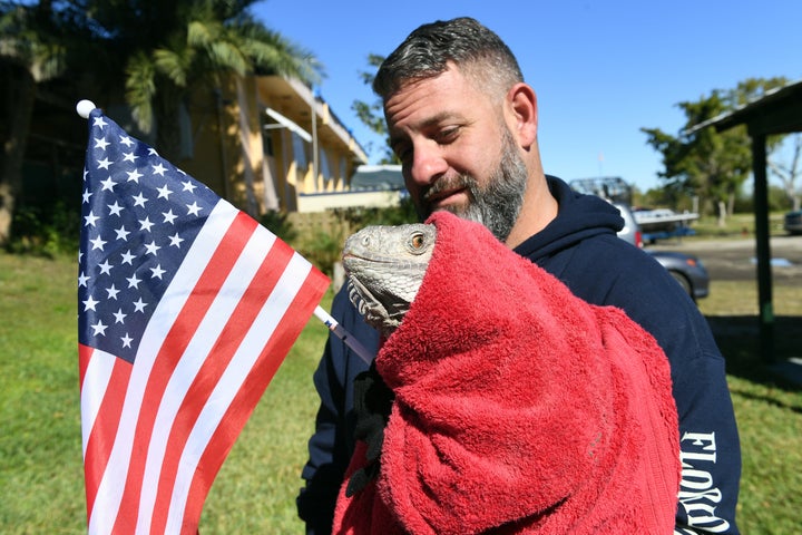 A gentle soul cares for a patriotic iguana.