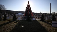 National Christmas Tree Dark Due To Government Shutdown