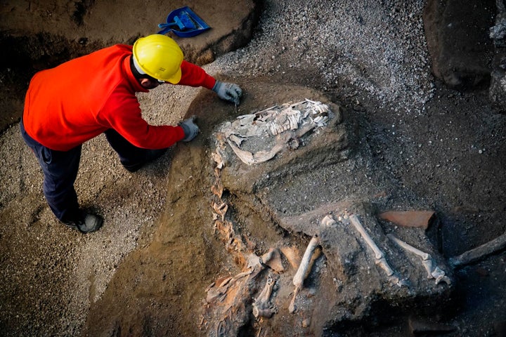 This horse in a harness with a richly decorated bronze trimmings, believed to have belonged to a high-ranking military official, was recently discovered.