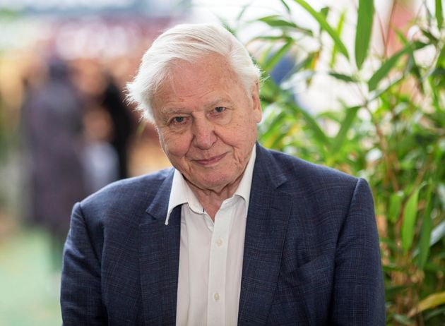 David Attenborough