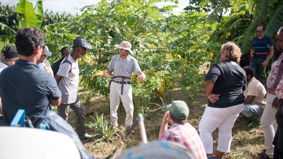 Ernst Götsch bei einem Workshop auf der Karibikinsel Martinique