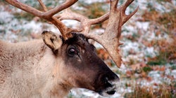 3 Big Environmental Stories To Watch In