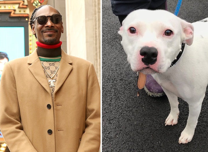 Snoop Dogg Dog Look Alike Snoop Dogg Dog Look Alike