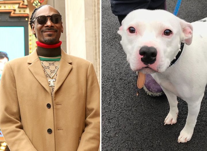 Snoop Dogg and Snoop the dog.