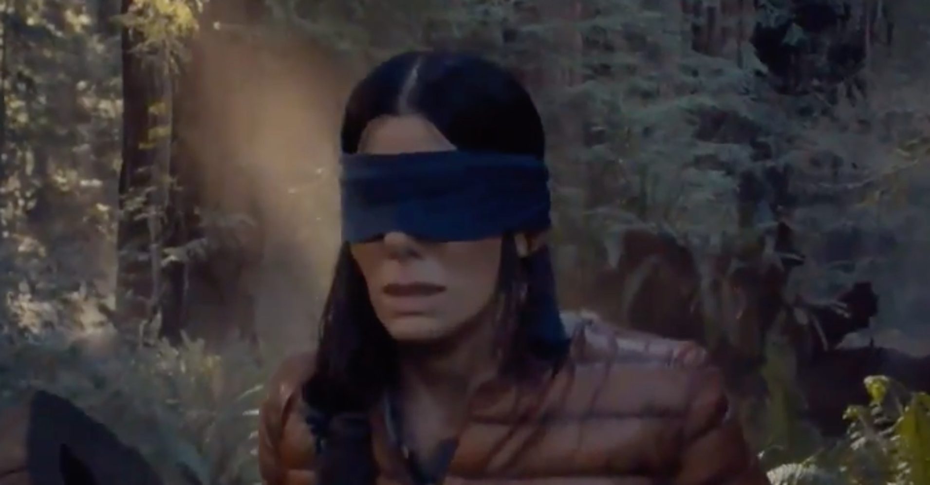 Sandra Bullock's New Netflix Movie Inspires People To Take 'Bird Box ...