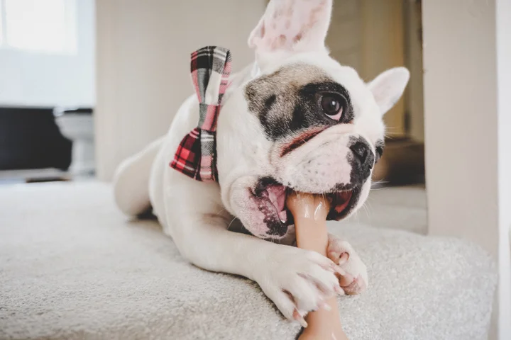 Dr lyons dental treats hot sale