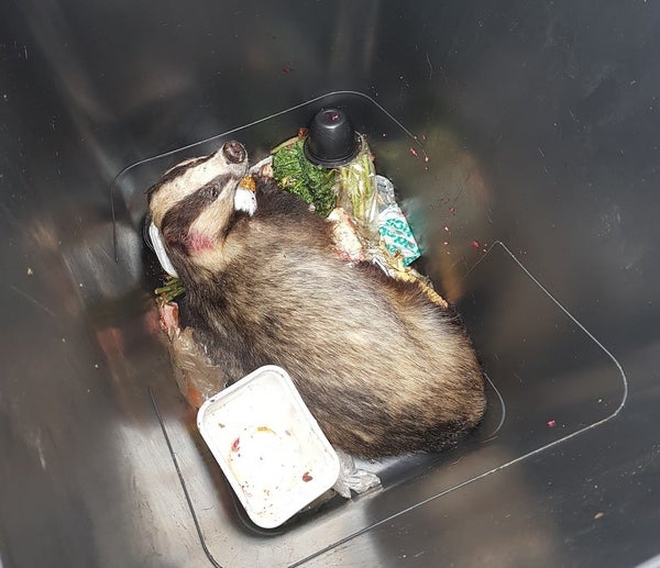 20 Of The Most Heartwarming And Unusual Animal Rescues By The UK's RSPCA In 2018 HuffPost